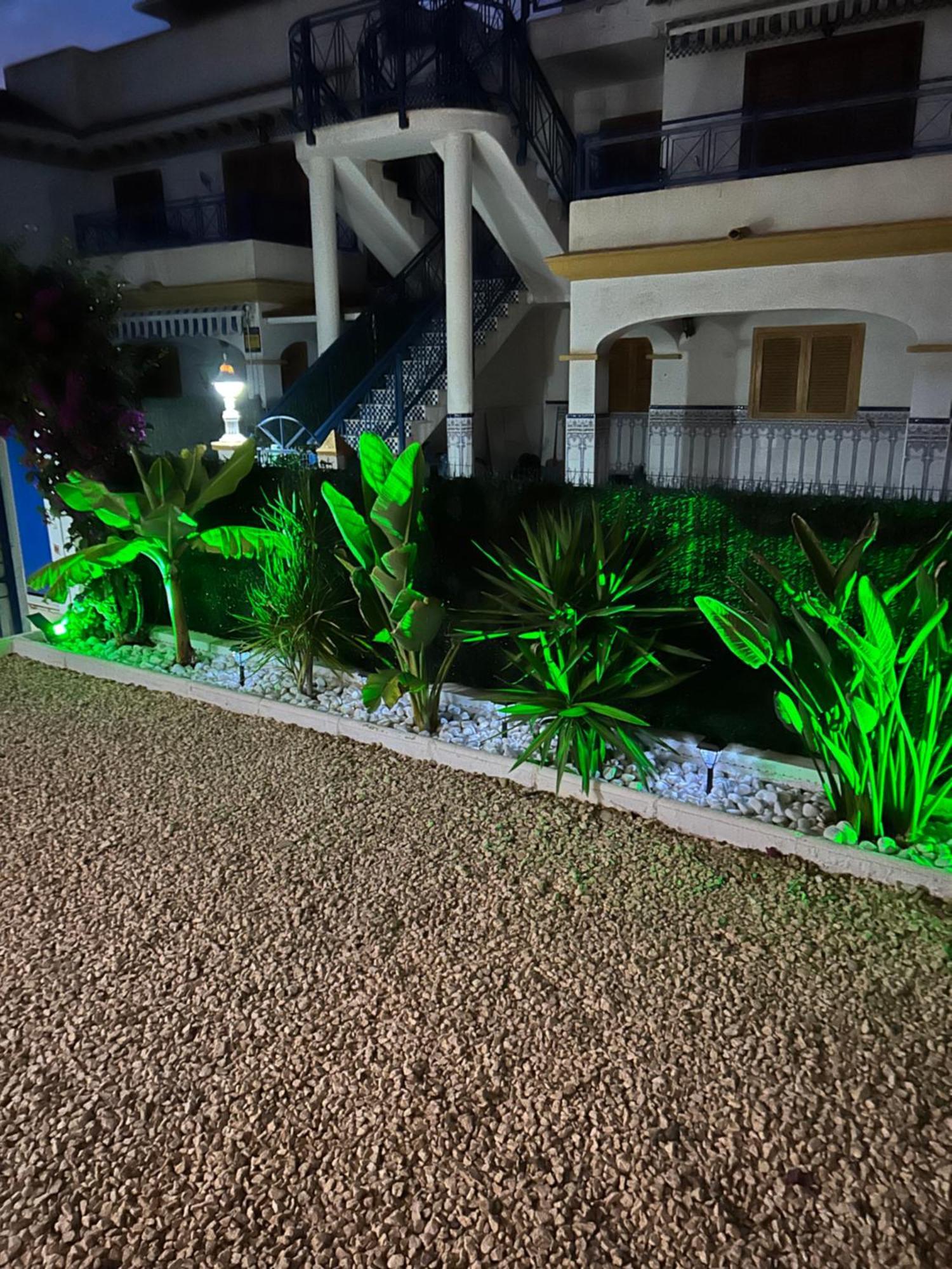 Acogedor Apartamento En La Playa Vera Exterior photo
